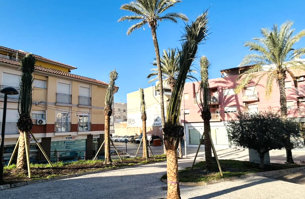 El jardn del parque de La Hermandad de La Oracin en el Huerto ha recuperado todas sus palmeras 